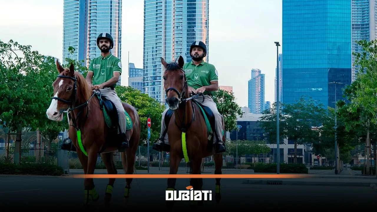گزارش عملکرد پلیس اسب سوار دبی در 2024
