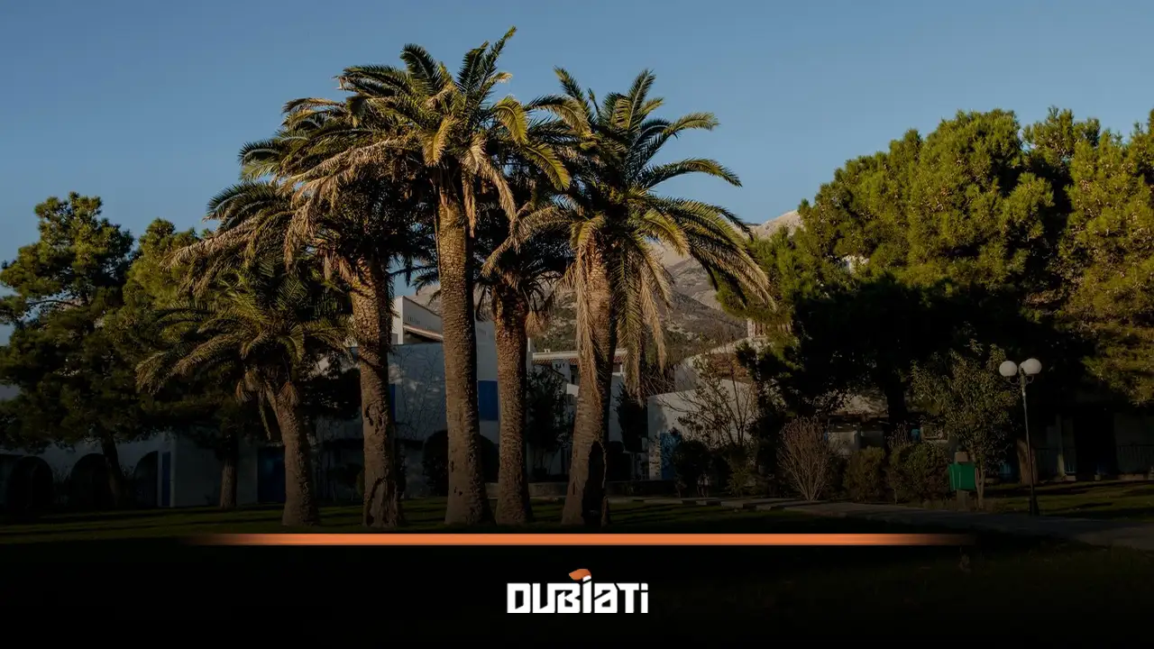 تاریخچه و توسعه منطقه دبی هیلز استیت