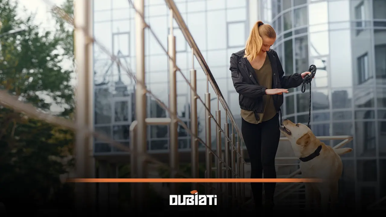 مدارک لازم برای ورود حیوانات خانگی به دبی